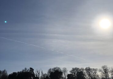 Sun in a blue sky above tree line