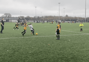 The Bobcats in action
